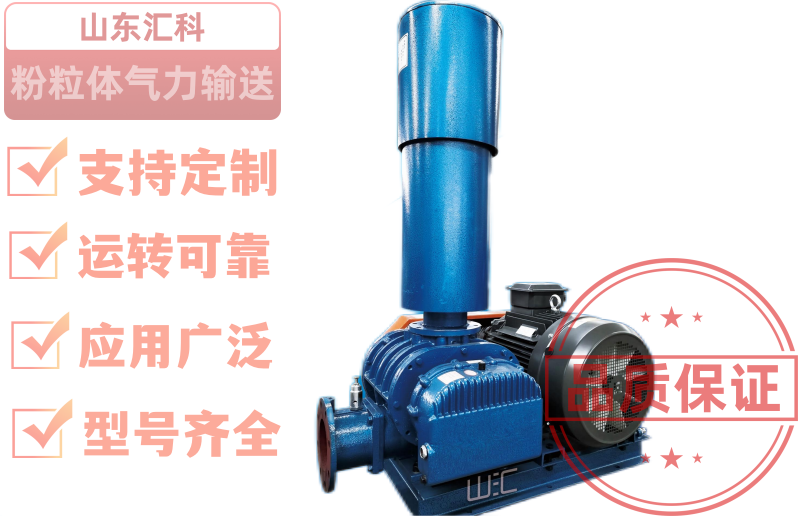 羅茨風(fēng)機